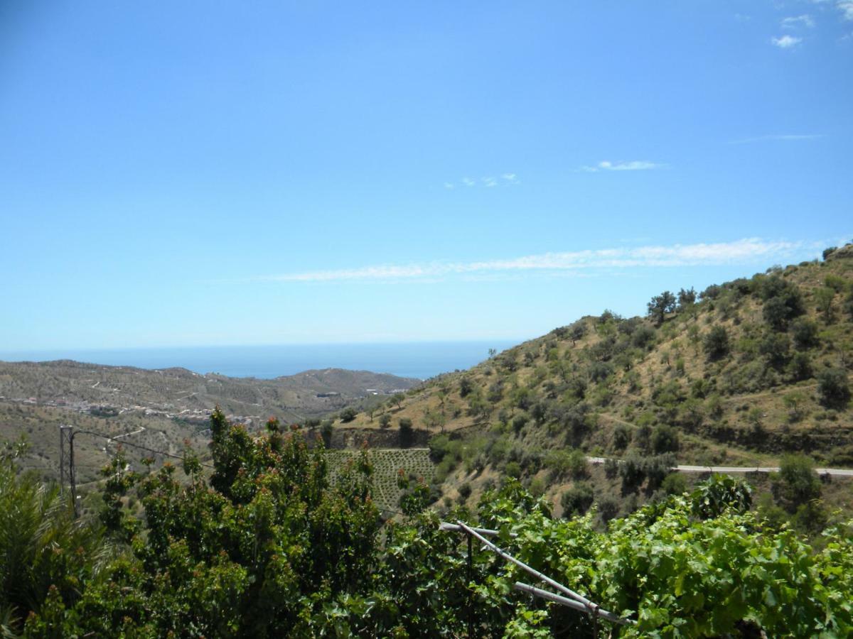 Moclinejo House Villa Málaga Eksteriør bilde